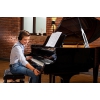 ADsilent Piyano Silent Sistemi<br>Fotoğraf: 2/4