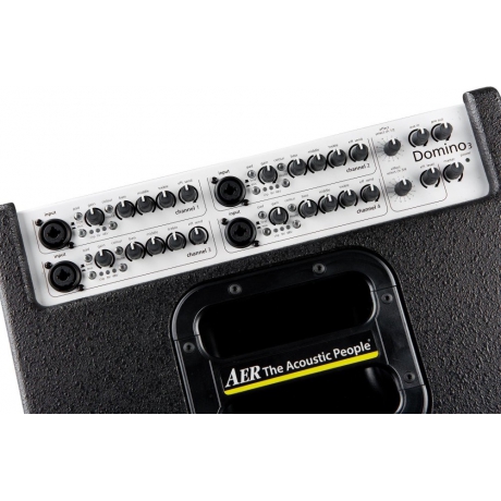 AER Domino 3 2x8 200W Stereo Akustik Combo Amfi<br>Fotoğraf: 2/3