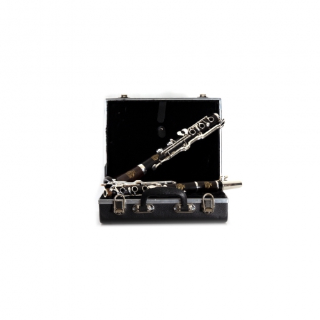 Amati ACL656K Sol Klarnet<br>Fotoğraf: 2/6