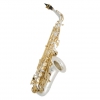 Antigua AS4240SG-CH Alto Saksafon<br>Fotoğraf: 1/1