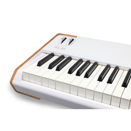 Arturia AstroLab 88 Avant-garde Stage Keyboard<br>Fotoğraf: 3/6