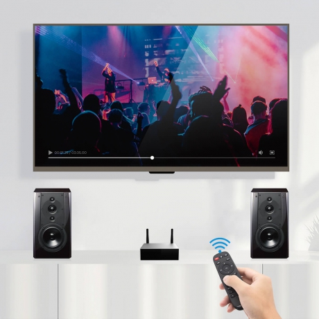 Arylic A50+ Wi-Fi & Bluetooth Class D Audio Amfi (2x50W)<br>Fotoğraf: 4/4