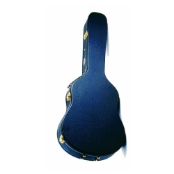 Ashton APCW12 12 Telli Akustik Gitar Hardcase