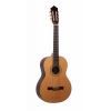 Ashton CG90NT Klasik Gitar (Natural)<br>Fotoğraf: 1/1