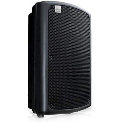 Ashton Mas10 Pasif Hoparlör 10"