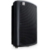 Ashton Mas10 Pasif Hoparlör 10"<br>Fotoğraf: 1/1