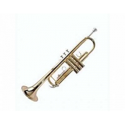 Ashton TR10 Sib Trompet