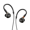 Beyerdynamic DT 73 IE Nefesli / Yaylı ve Tuşlu Çalgılar için in-ear Monitör Kulaklık<br>Fotoğraf: 1/3