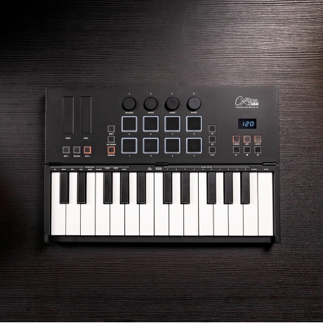 Blackstar Carry-On FC-25 25 Tuşlu Taşınabilir & Katlanabilir Midi Klavye (Siyah)<br>Fotoğraf: 5/7