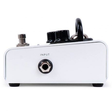 Blackstar Dept. 10 Boost Tube Boost Pedalı<br>Fotoğraf: 4/5