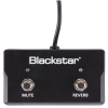 Blackstar FS17 - 2 Sonnet Footcontroller<br>Fotoğraf: 1/1