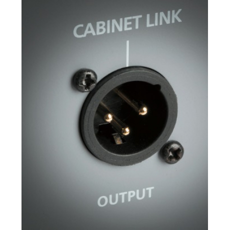 Blackstar Unity Bas U120 Kombo Bas Gitar Amfi<br>Fotoğraf: 7/10