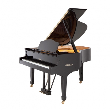 Blüthner Grand Model 10 Akustik Kuyruklu Piyano (Parlak Siyah)<br>Fotoğraf: 1/1