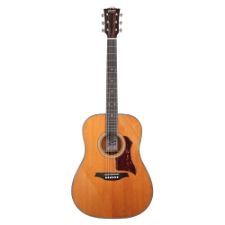 Bromo BAN1V Denali Series Akustik Gitar (Natural)
