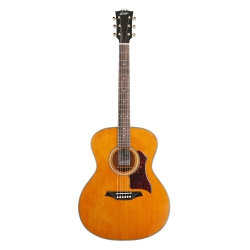 Bromo BAN2V Denali Series Akustik Gitar (Natural)