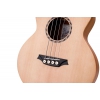 Bromo BAT8EFL Tahoma Series Mini Jumbo Fretless Elektro Akustik Bas Gitar (Natural), Fotoğraf: 5/9