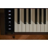 Casio AP-S450BN Dijital Piyano (Kahverengi), Fotoğraf: 5/8