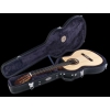 Cordoba 04072 Humicase Protege Klasik Gitar Hard Case<br>Fotoğraf: 2/2