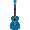 Cordoba 15C Concert Ukulele (Sea Sky), Fotoğraf: 1/6