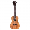 Cordoba 25C Concert Ukulele (Natural)<br>Fotoğraf: 1/1