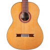 Cordoba C7 Sedir Klasik Gitar<br>Fotoğraf: 2/4