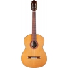 Cordoba C7 Sedir Klasik Gitar<br>Fotoğraf: 1/4