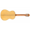 Cordoba F10 Flamenko Gitar<br>Fotoğraf: 2/3