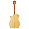 Cordoba GK Pro Klasik Gitar<br>Fotoğraf: 2/4