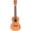 Cordoba Protégé U1C Concert Ukulele<br>Fotoğraf: 1/3