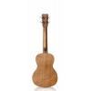 Cordoba UP100 Concert Ukulele Seti<br>Fotoğraf: 4/5