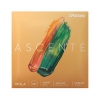 D’Addario Ascenté A410 SM 14" – 15" Viyola Teli (Medium), Fotoğraf: 1/2
