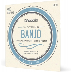 D'Addario EJ69 Nickel-Plated Steel Banjo Teli (09–20)