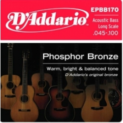 D'Addario EPBB170 Akustik Bas Gitar Teli (45-100)