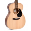 Ditson 000-10 Akustik Gitar (Naturel)<br>Fotoğraf: 2/3