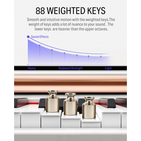 Donner DDP-100 Dijital Piyano (Beyaz)<br>Fotoğraf: 4/7