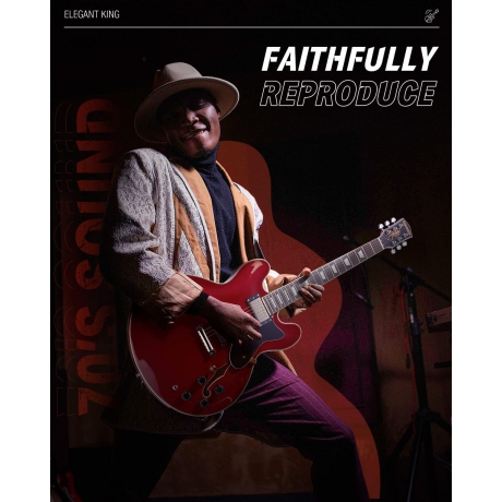 Donner DJP-1000 Semi-Hollow Elektro Gitar (Kırmızı)<br>Fotoğraf: 8/8