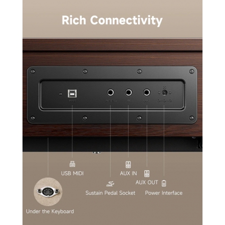 Donner Oura R300 Dijital Piyano (Ceviz)<br>Fotoğraf: 6/6