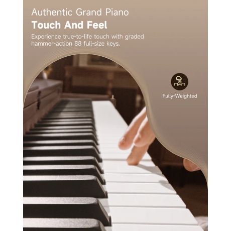 Donner Oura R300 Dijital Piyano (Ceviz)<br>Fotoğraf: 4/6