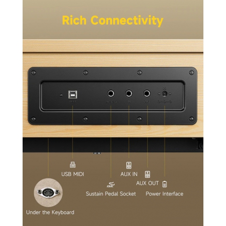 Donner Oura R300 Dijital Piyano (Light Wood)<br>Fotoğraf: 7/7