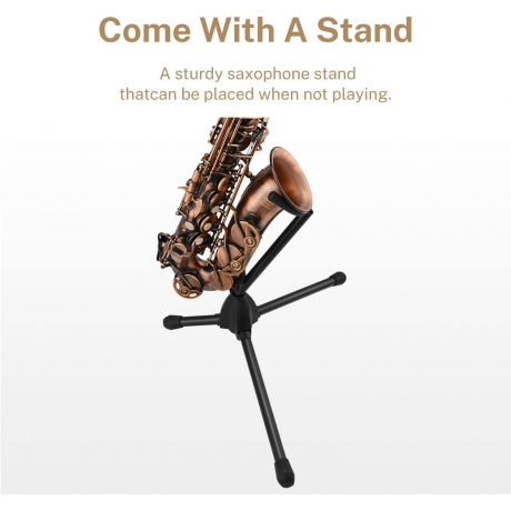 Eastar AS-II-AB2 Mi Bemol Alto Saksofon (Vintage Bronz)<br>Fotoğraf: 6/6