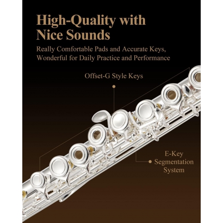 Eastar EFL-2 Yan Flüt (Gümüş Kaplama)<br>Fotoğraf: 3/7