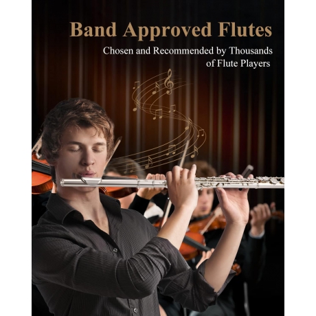 Eastar EFL-2 Yan Flüt (Gümüş Kaplama)<br>Fotoğraf: 6/7