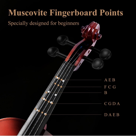 Eastar EVA-2 3/4 Keman Seti (Natural)<br>Fotoğraf: 2/7