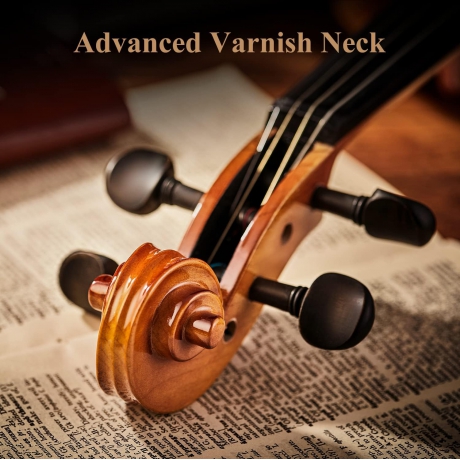 Eastar EVA-330 4/4 Solid Wood Keman Seti (2 Arşe Hediyeli)<br>Fotoğraf: 2/8