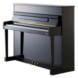 Eduard Seiler Model 116 Solist Akustik Duvar Piyanosu (Parlak Siyah)