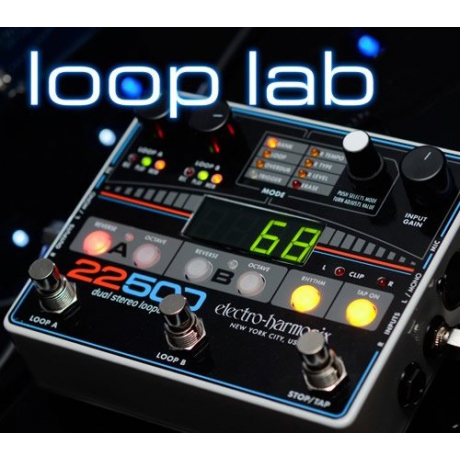 Electro Harmonix 22500 Dual Stereo Looper Pedalı<br>Fotoğraf: 5/5