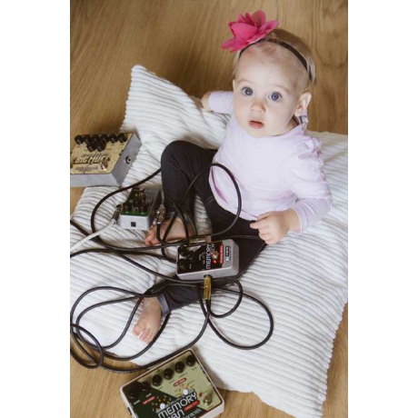 Electro Harmonix Memory Toy Analog Delay With Modulation Pedalı<br>Fotoğraf: 5/5