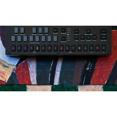 Elektron Tonverk MultiSampler & Ses Prosesörü<br>Fotoğraf: 7/9