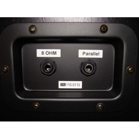 Engl E110 Gigmaster Elektro Gitar Kabini<br>Fotoğraf: 3/3