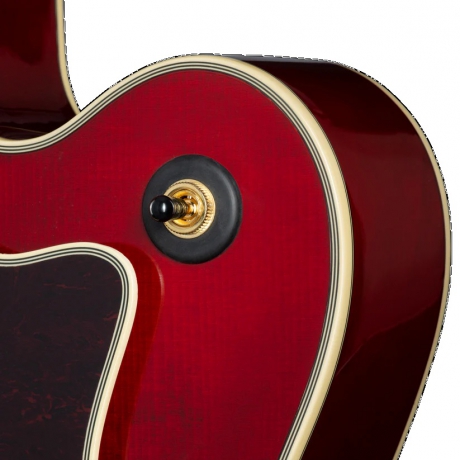 Epiphone Broadway Hollow Body Elektro Gitar (Wine Red)<br>Fotoğraf: 7/10